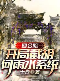 四合院:开局截胡何雨水系统